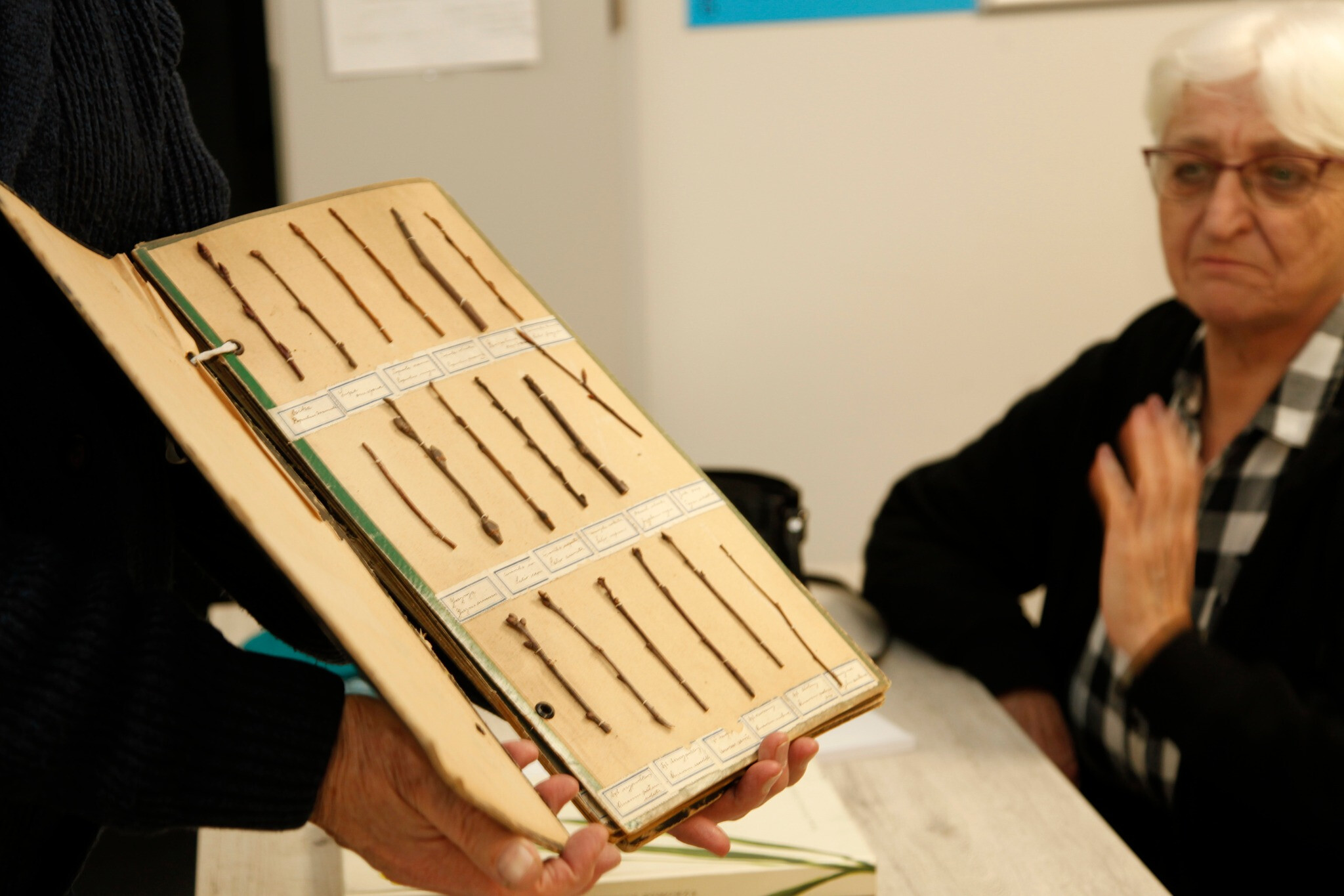 Tajemnice słupskiego Herbarium