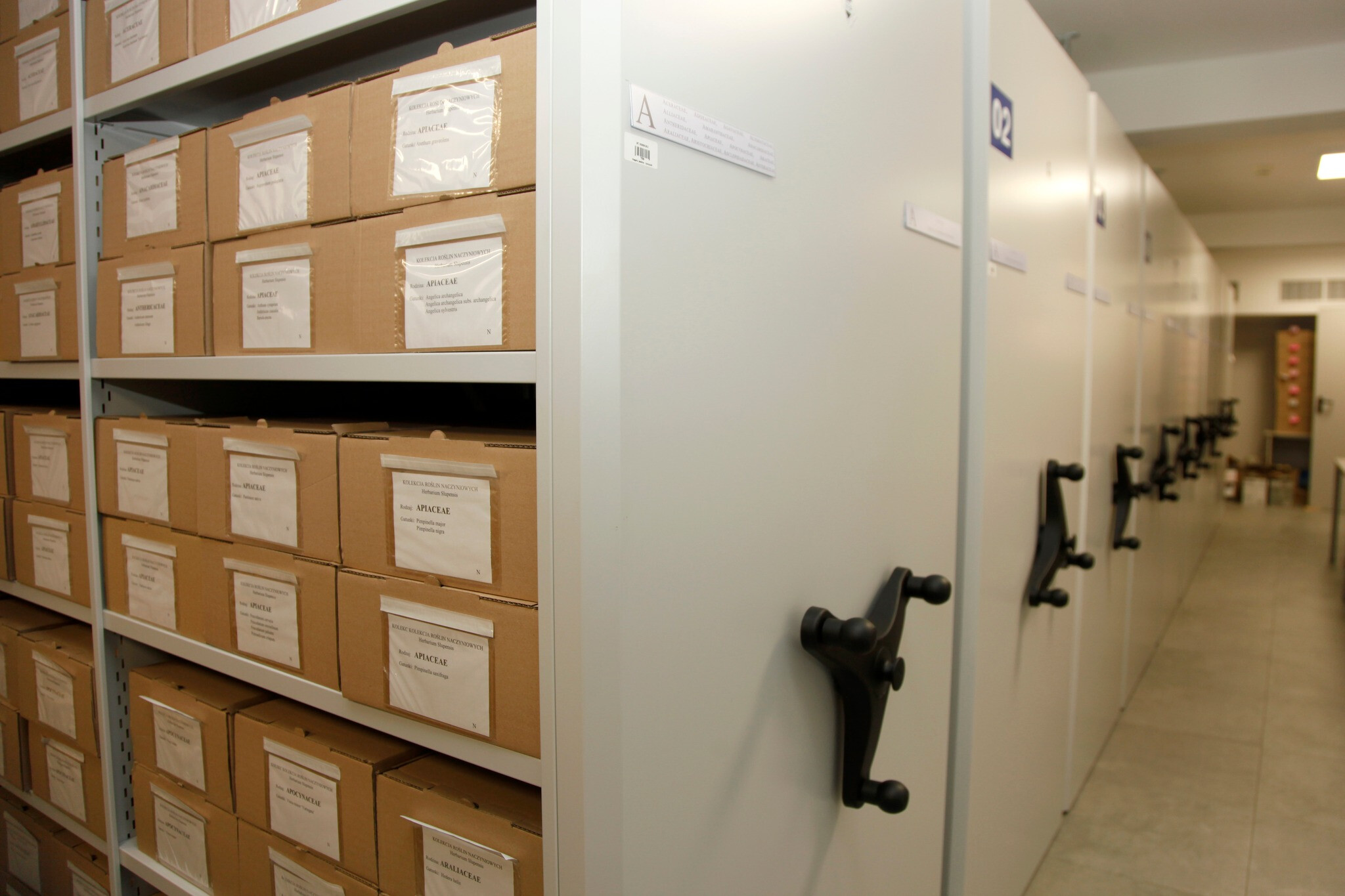 Tajemnice słupskiego Herbarium