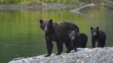 Spotkanie z przyrodnikiem Marcinem Kostrzyńskim - Marcinem z Lasu